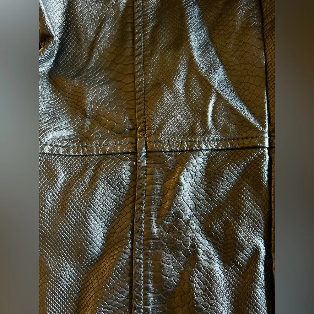 UO Urban Outfitters Alexa Faux Leather Moto Pants Size 6 - Picture 4 of 15